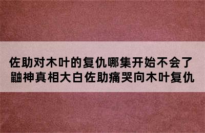 佐助对木叶的复仇哪集开始不会了 鼬神真相大白佐助痛哭向木叶复仇